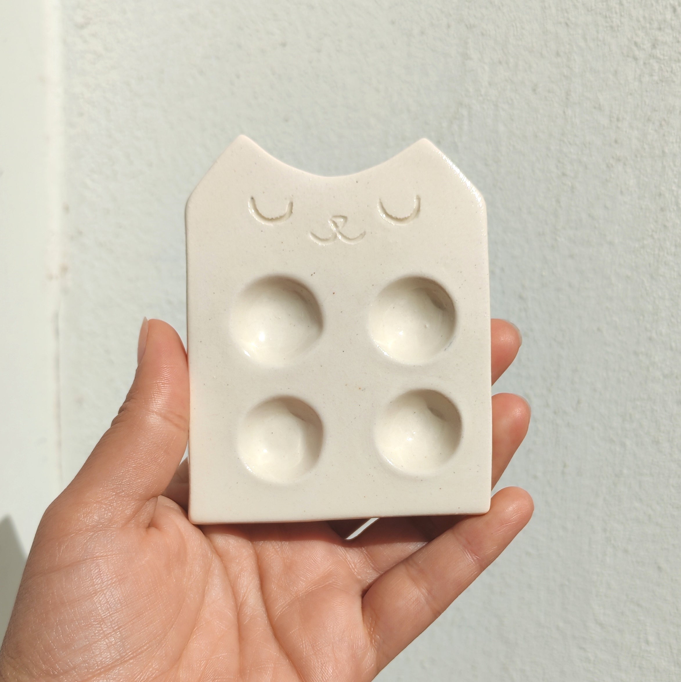 Paleta Mezcladora de Gato