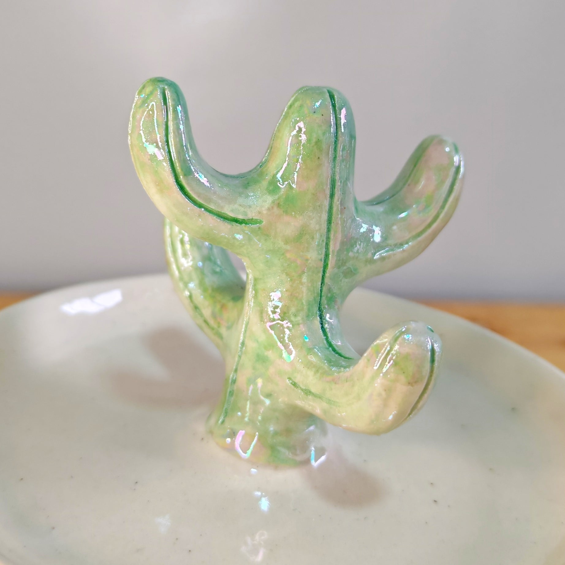 Joyero Cactus de Cerámica con Tornasol